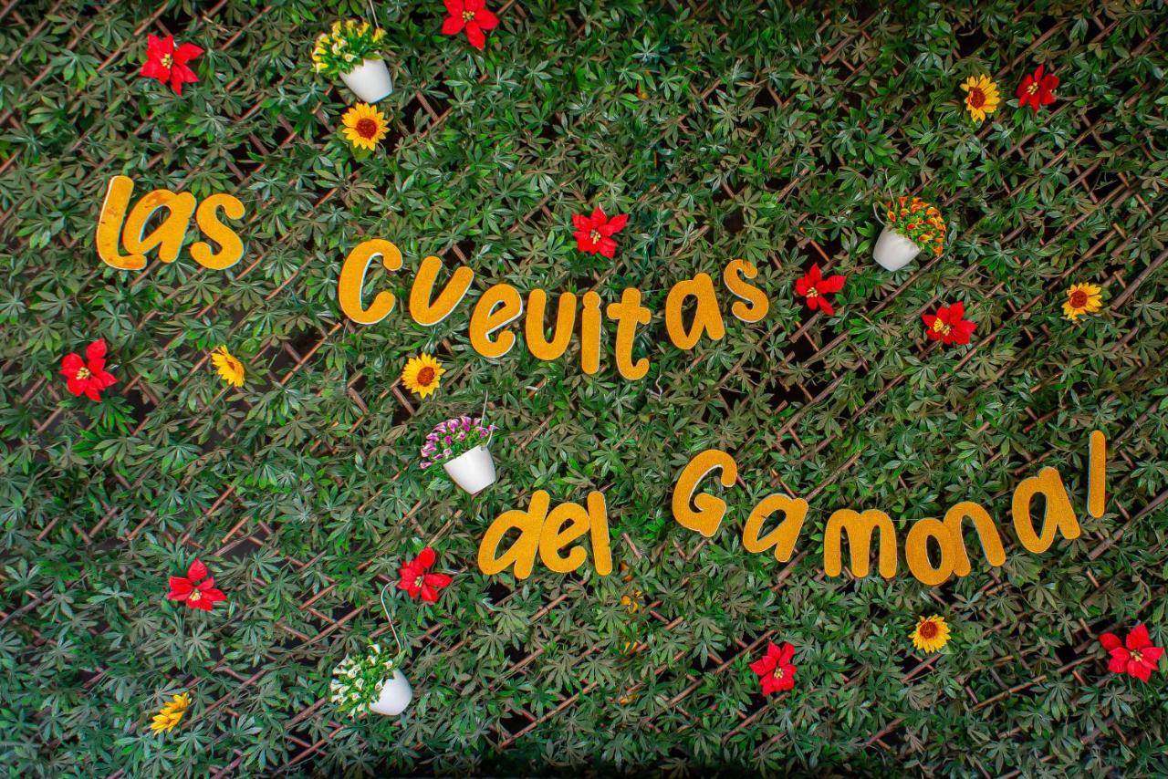 Las Cuevitas Del Gamonal サンタ・ブリヒダ エクステリア 写真